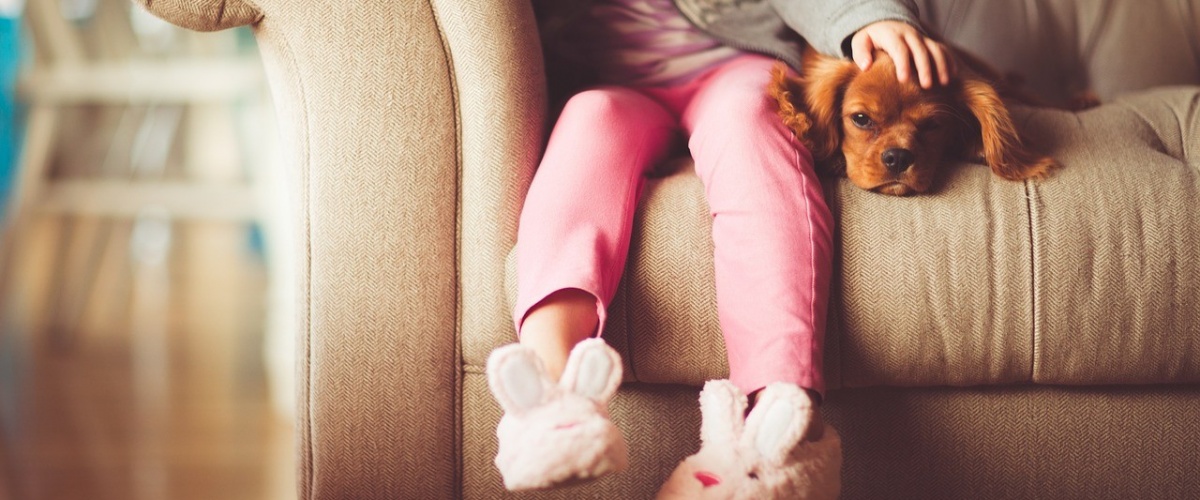 Demos servo drive on a chip